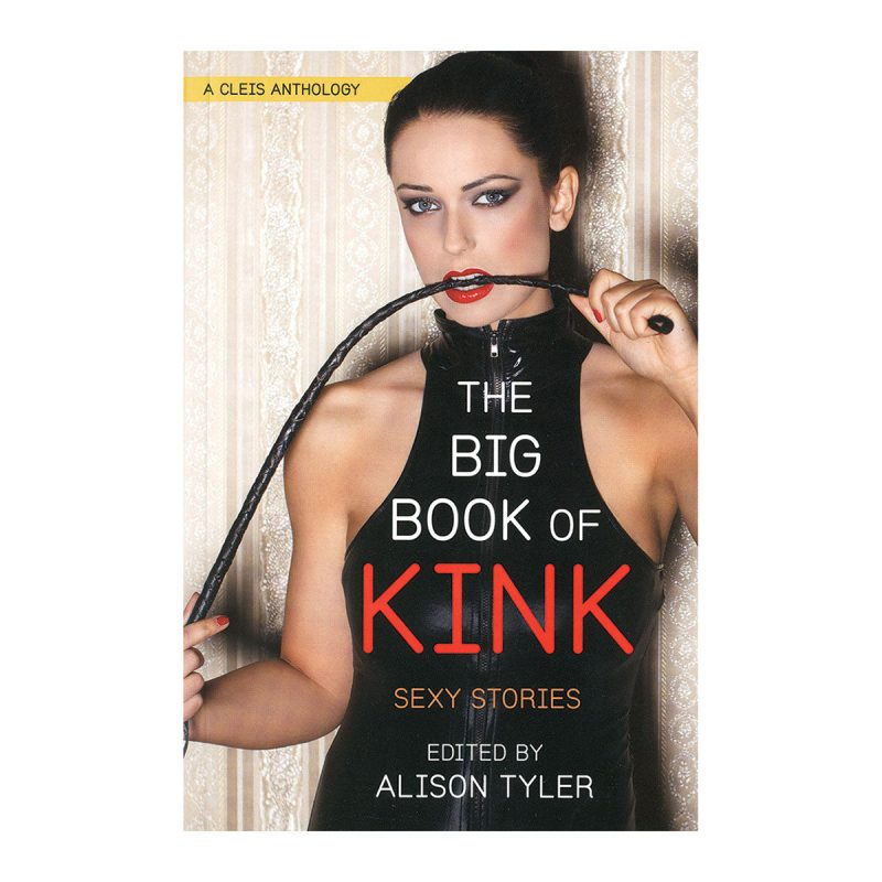 33927 BigBookKink MAIN